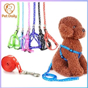 Set Dây xích ngực chó mèo thú cưng chống trầy cổ