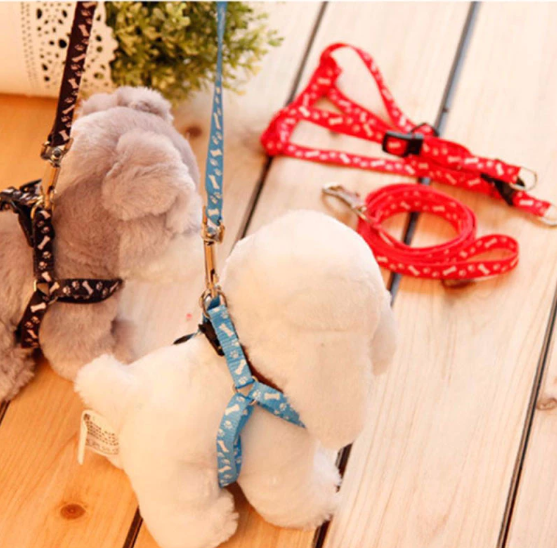 Set Dây xích ngực chó mèo thú cưng chống trầy cổ - Ảnh 5