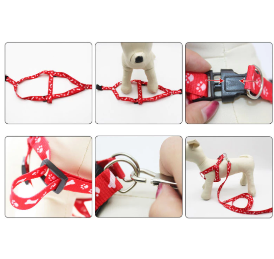 Set Dây xích ngực chó mèo thú cưng chống trầy cổ - Ảnh 4