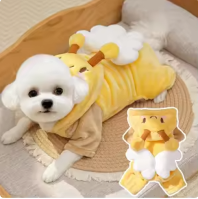 Khám phá cách chọn áo cho chó mèo đẹp, bền, thoải mái và phù hợp từng mùa. Cập nhật xu hướng thời trang cho chó mới nhất cùng petdailyy.